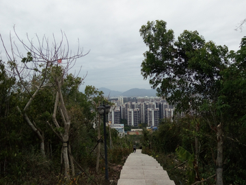 山间登山道