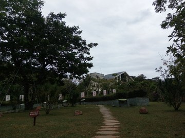 山间登山道