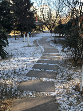 小区雪景