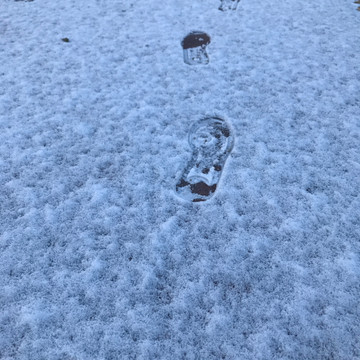 雪地脚印