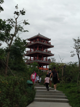 阁楼风景