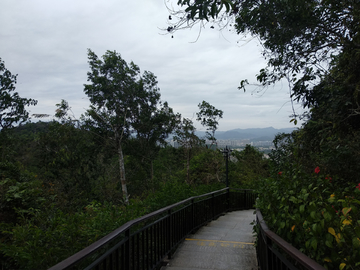 山间登山道