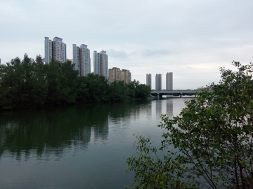 河畔风景