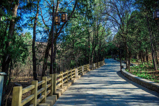 盘山小路 山路栏杆