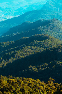 山脉山峰森林