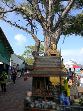 芭提雅海岛风光 神龛