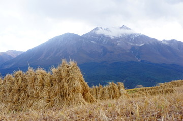 祁连卓尔山秋景