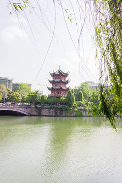 百花潭杨柳河岸