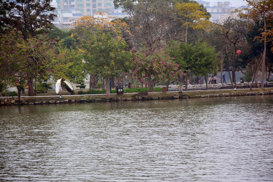 西湖