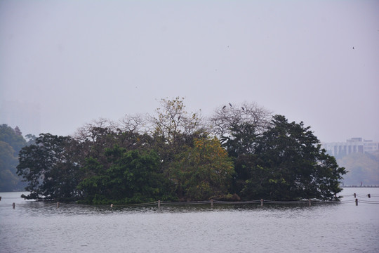 西湖