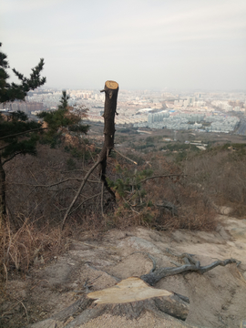 青岛浮山