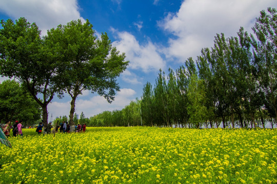 沈阳城市风光