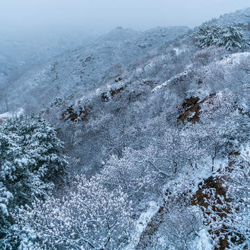 金山岭长城