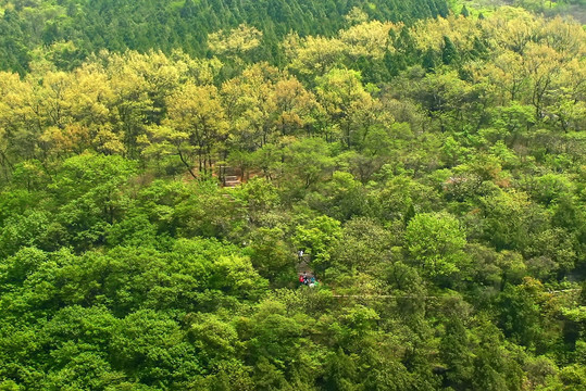 山林 山间小道