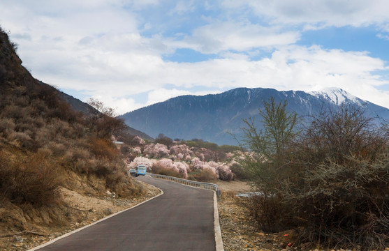 公路