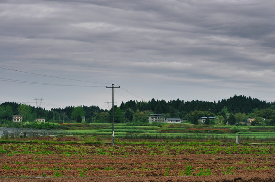 田园风景