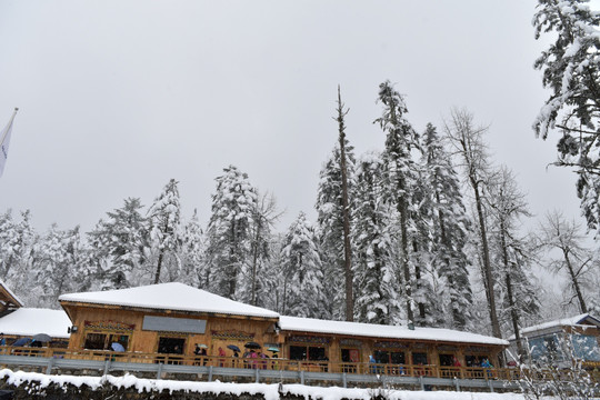 海螺沟 贡嘎山 雪山 木屋