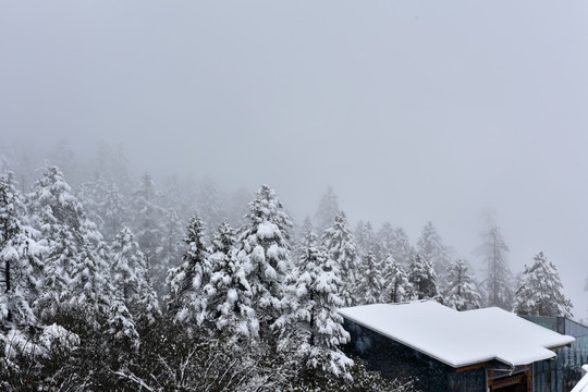 海螺沟 贡嘎山 木屋