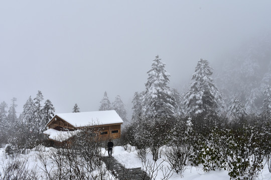 海螺沟 贡嘎山 四号营地