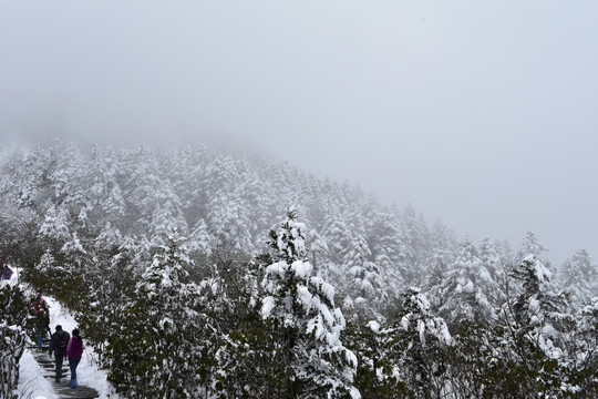 海螺沟 贡嘎山 雪景 冰雪