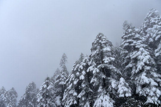 海螺沟 贡嘎山 雪景 冰雪