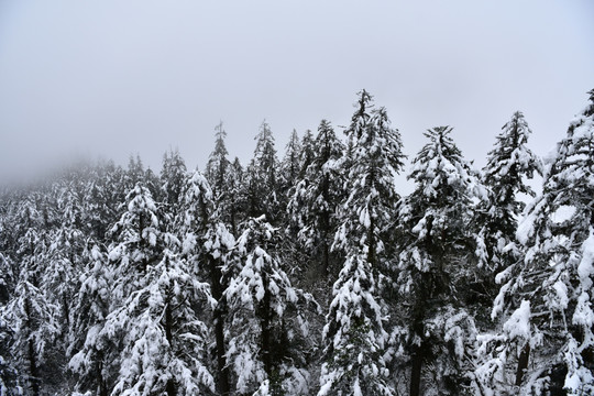 海螺沟 贡嘎山 雪景 冰雪
