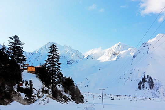 波托峡谷雪与松