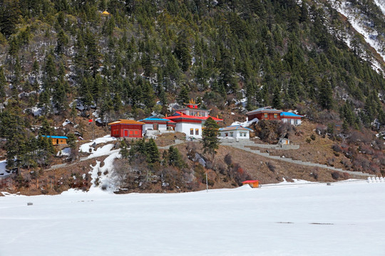 波托峡谷雪与松