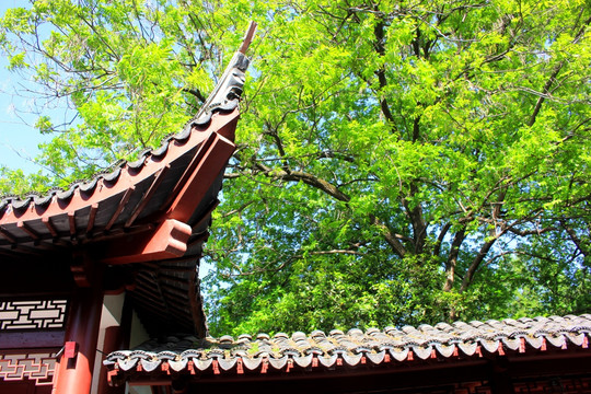 南京白鹭洲公园