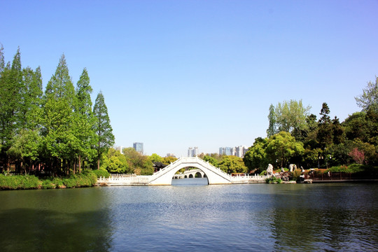 南京白鹭洲公园