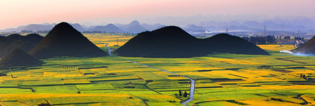 田野秋景图