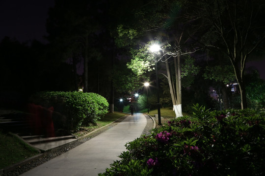 绣山公园夜景
