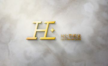 H字母金融商贸公司