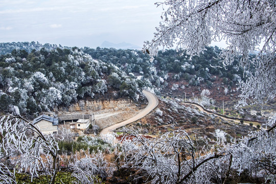 菌子山冰雪 雾凇