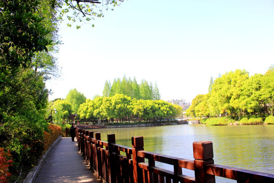南京白鹭洲公园