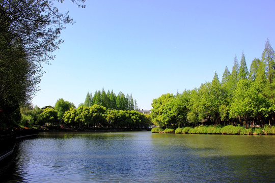 南京白鹭洲公园