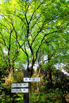 南京白鹭洲公园