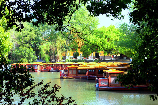 南京白鹭洲公园