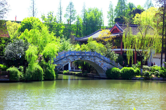 南京白鹭洲公园