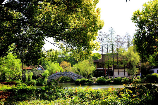 南京白鹭洲公园