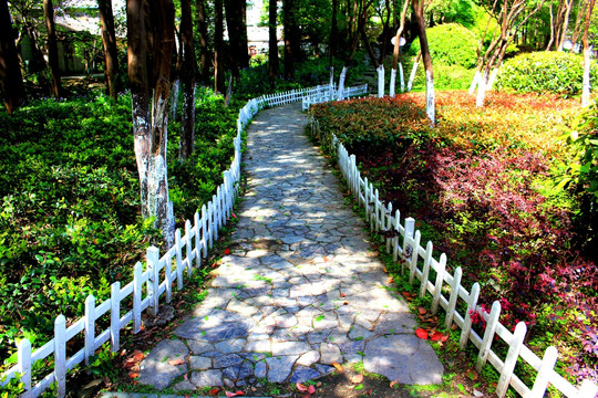 南京白鹭洲公园