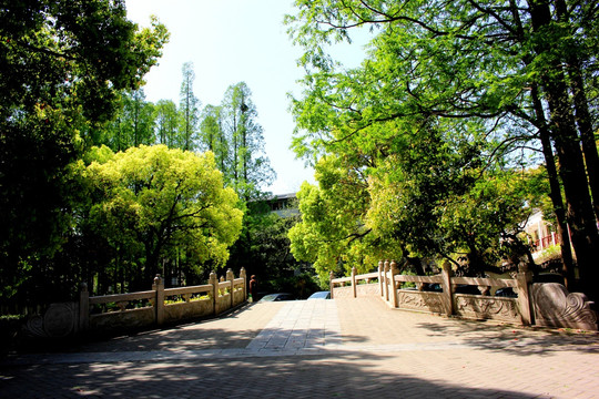 南京白鹭洲公园