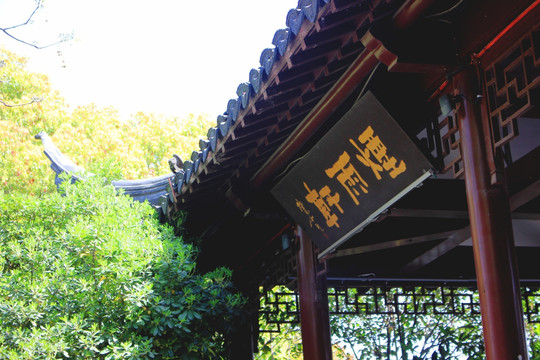 南京白鹭洲公园