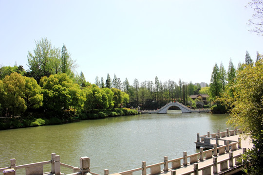 南京白鹭洲公园