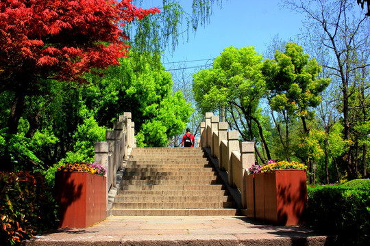 南京白鹭洲公园