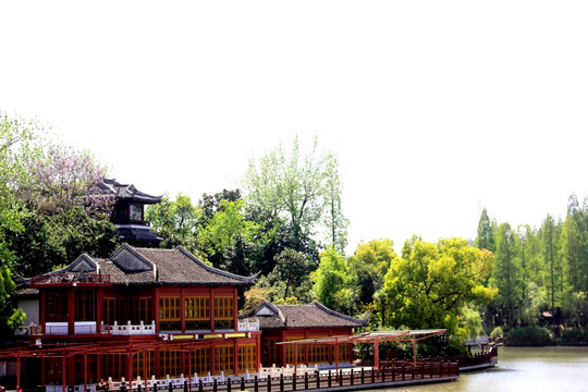 南京白鹭洲公园