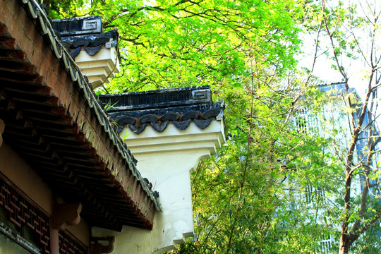 南京白鹭洲公园
