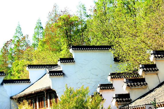 南京白鹭洲公园