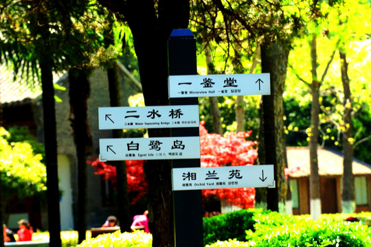 南京白鹭洲公园