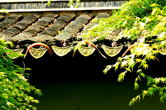 南京白鹭洲公园
